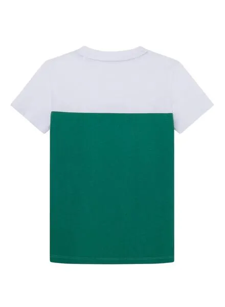 Camiseta Pepe Jeans Raizo Verde Para Niño