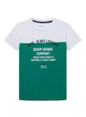 Camiseta Pepe Jeans Raizo Verde Para Niño