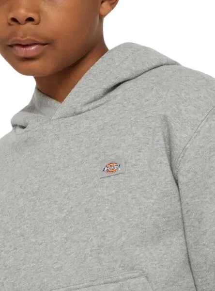 Sudadera Dickies Youth Oakport Hoodie Gris Para Niño