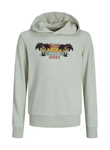 Sudadera Jack And Jones Summer Gris Para Niño