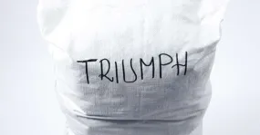 Triumph Ladies Swimwear - 70 Piezas - Nuevo Y Mejorado